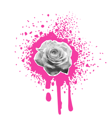 Bambola Creative Visual Artist Fort Wayne IN Noelle Mazza