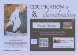 Silence Healing