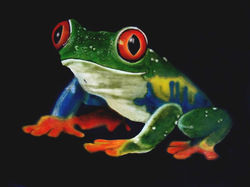 La Grenouille