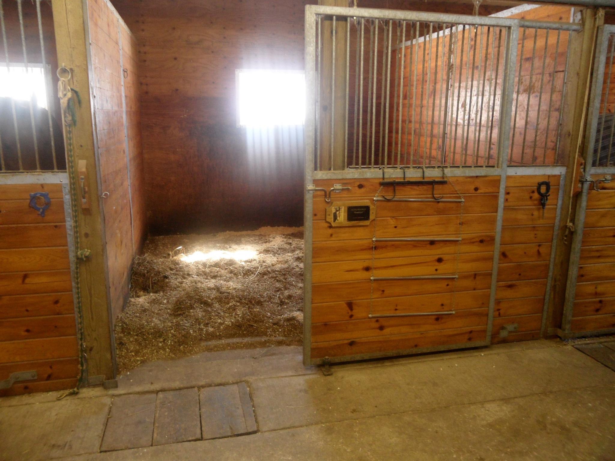 Durham Valley Equine Facility Durham Valley Region EquiSTRONG