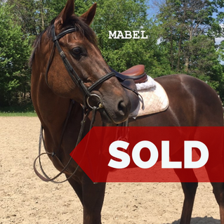 Mabel