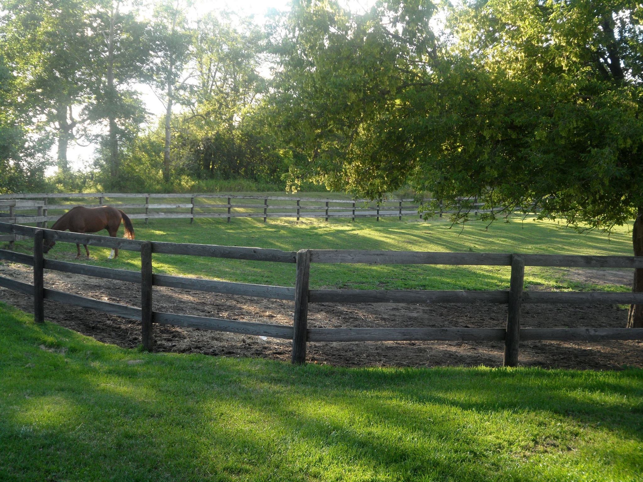 Durham Valley Equine Facility Durham Valley Region EquiSTRONG