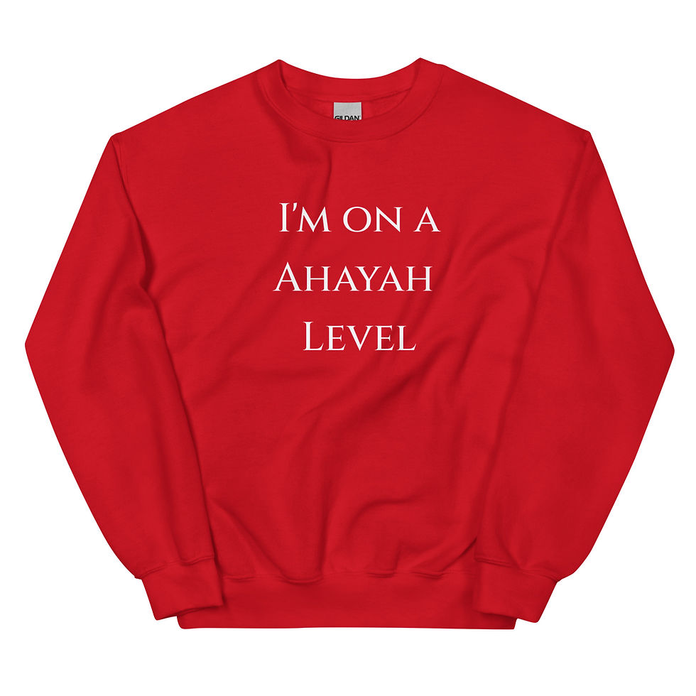 Thumbnail: Ahayah Level Sweatshirt