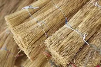 Cox and Roberts The Master Thatchers.jpg.webp