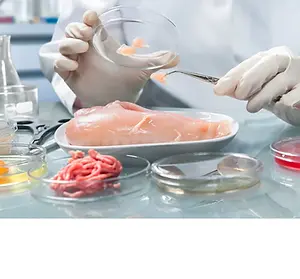 food-safety-topic-image.webp