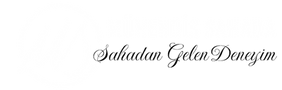MSLogo.png