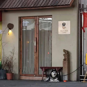 cafe