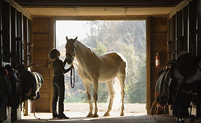 Learning how to tack up before your lesson.