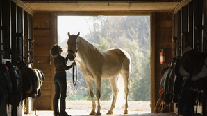 Equine & Farming - What is the ideal type of technical information required to produce an R&D claim?