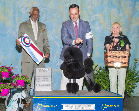 Best in Show Eugene Blake.webp