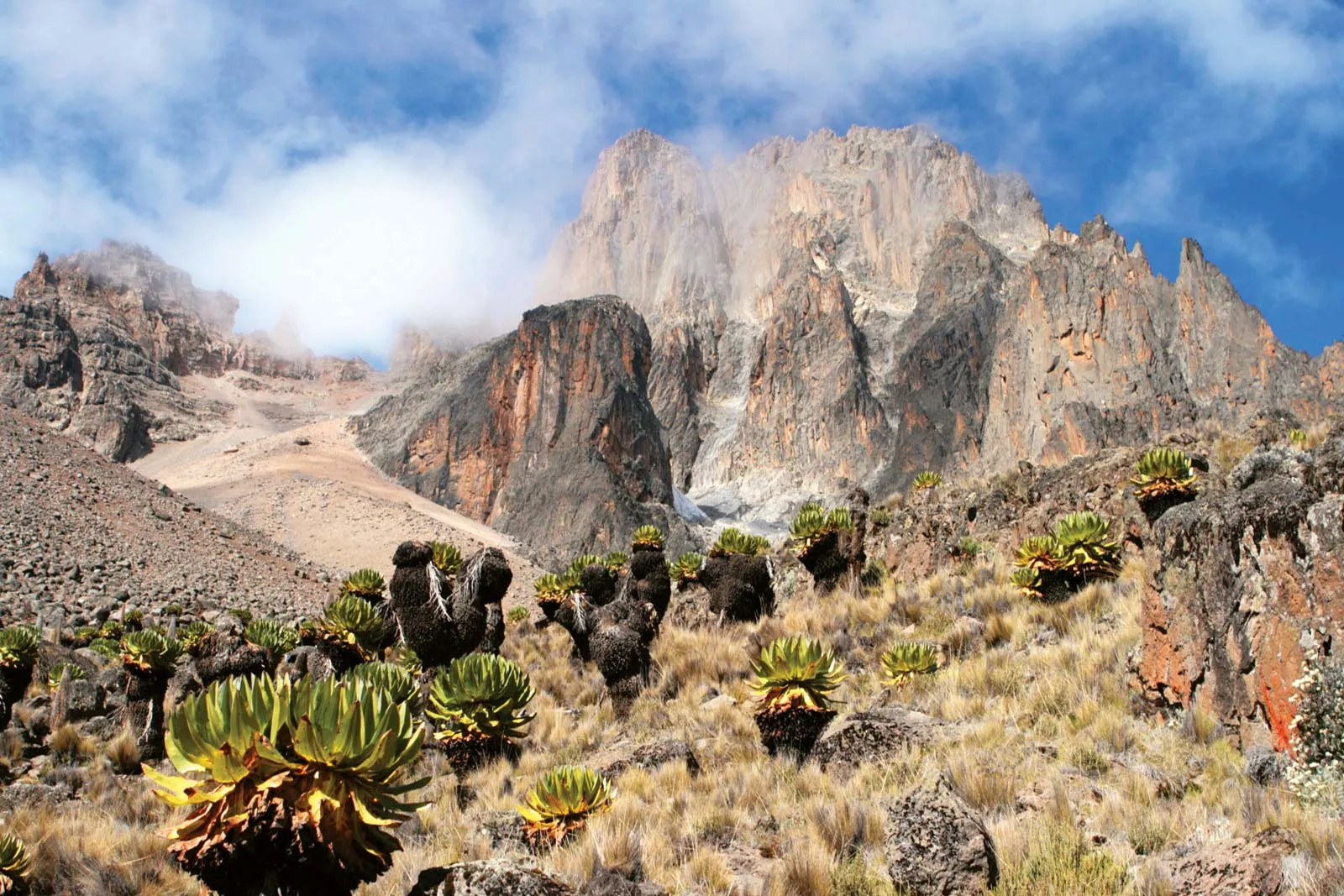 Mount-Kenya.webp
