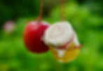 Red apple and jar of apple cider vinegar with heart-embellished cover hang on strings, set against a blurred green background, evoking a warm, rustic mood.