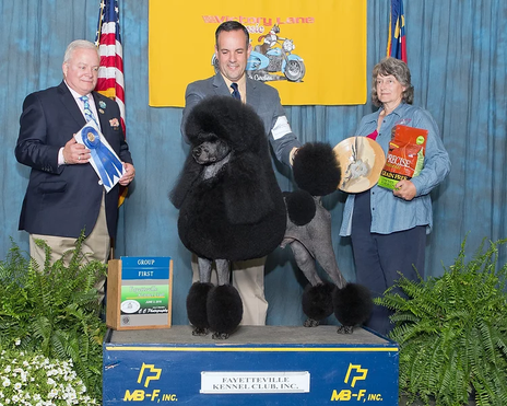 Dennis McCoy Group First.webp