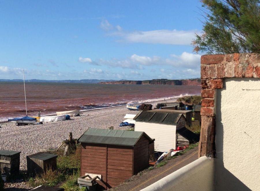 View from garden Paddy's Place.jpg