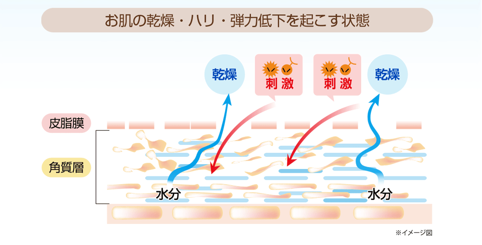 ダイナテラHR100美容液, ３つのヒアルロン酸,ヒアルロン酸Na,ヒアロベール,ヒアロリペア,肌の潤い,シワたるみの原因,バリア機能,シワ,たるみ,若返る,ハリ,弾力,目尻のシワ,法令線,肌にハリがない,肌がくすむ,肌荒,実年齢より老けて見られる,乾燥,潤い,美肌