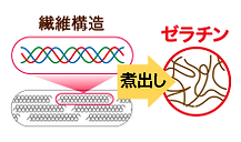 純粋コラーゲン100%CEX,CEX,コラーゲン,低分子,飲みやすい,無味無臭,無添加,若返り,シワ,しみ,関節痛,