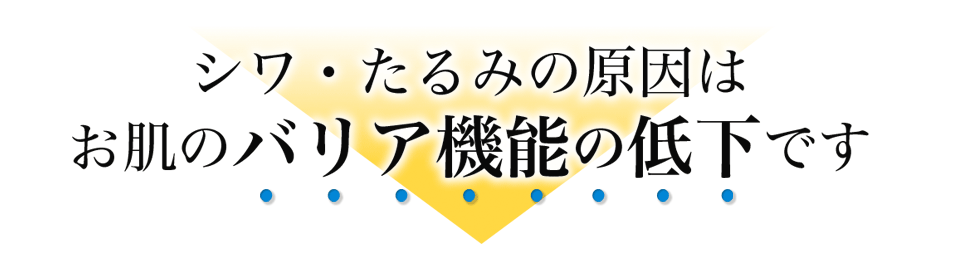 ダイナテラHR100美容液, ３つのヒアルロン酸,ヒアルロン酸Na,ヒアロベール,ヒアロリペア,肌の潤い,シワたるみの原因,バリア機能,シワ,たるみ,若返る,ハリ,弾力,目尻のシワ,法令線,肌にハリがない,肌がくすむ,肌荒,実年齢より老けて見られる