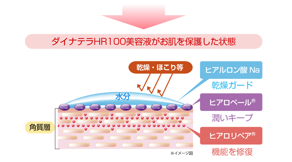 ダイナテラHR100美容液, ３つのヒアルロン酸,ヒアルロン酸Na,ヒアロベール,ヒアロリペア,肌の潤い,シワたるみの原因,バリア機能,シワ,たるみ,若返る,ハリ,弾力,目尻のシワ,法令線,肌にハリがない,肌がくすむ,肌荒,実年齢より老けて見られる,乾燥,潤い,美肌