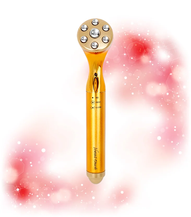 株式会社dinadina ヴィーナスタッチ