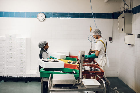 202005180557 - Copie.jpg