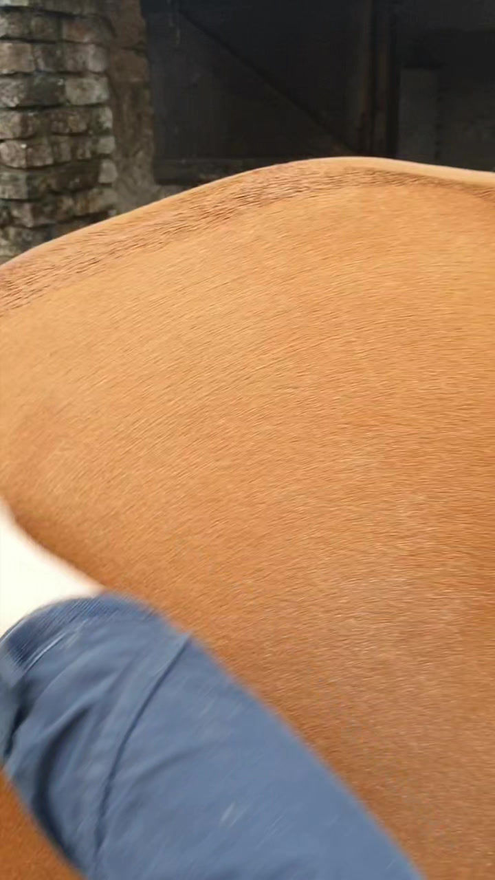 Pikkukuva: Equibuff Blue