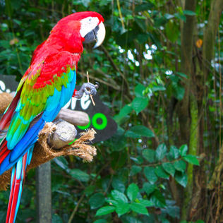 5 More Unusual Places To Plan Events in Singapore