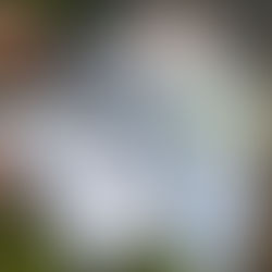 5 More Event Business Card Alternatives