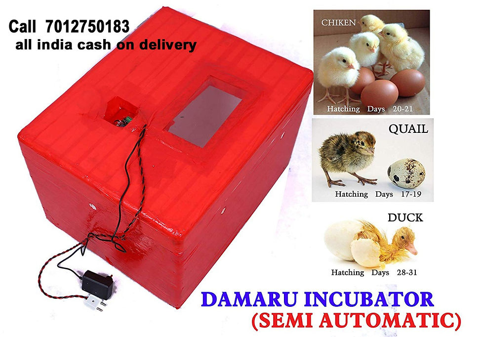 Thumbnail: DAMARU 100 Egg Capacity Semi Automatic Thermocol Incubator / Chicken Duc