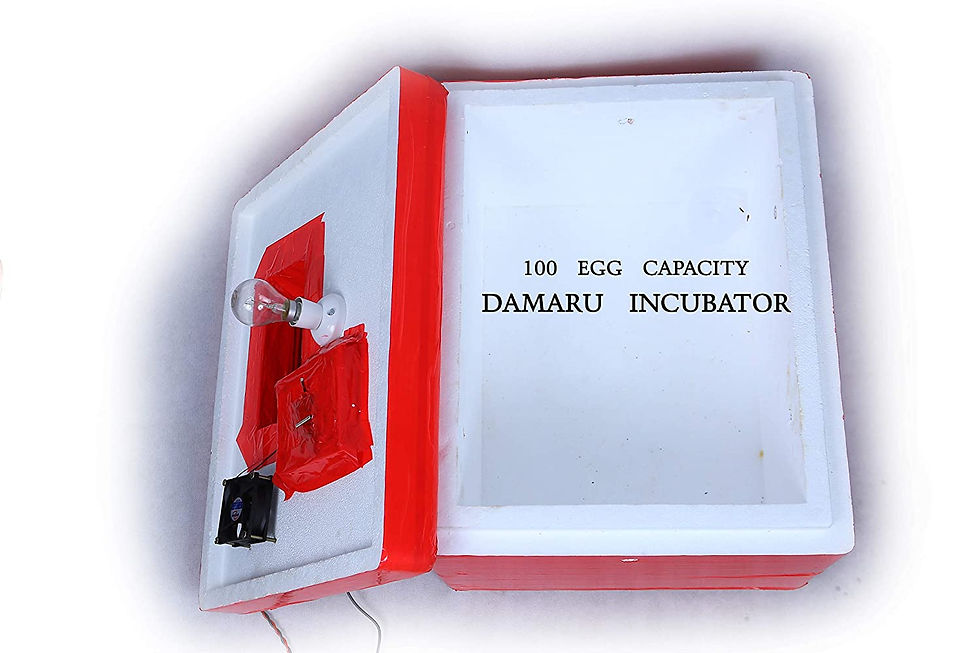 Thumbnail: DAMARU 100 Egg Capacity Semi Automatic Thermocol Incubator / Chicken Duck