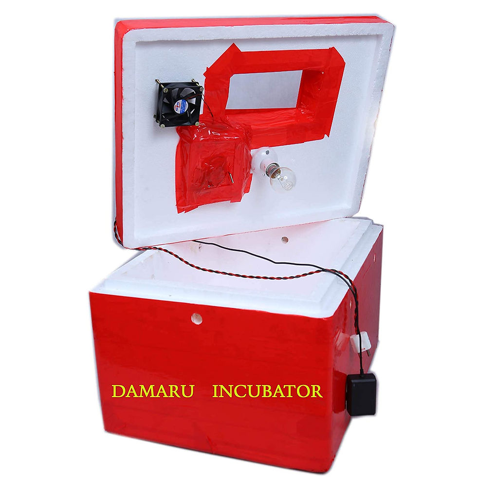 Thumbnail: DAMARU 100 Egg Capacity Semi Automatic Thermocol Incubator / Chicken Duck