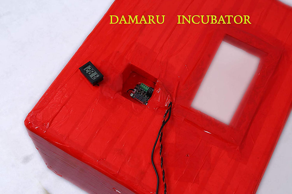 Thumbnail: DAMARU 100 Egg Capacity Semi Automatic Thermocol Incubator / Chicken Duck