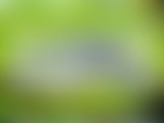 การเลี้ยงกบ สำหรับผู้ที่มีต้นทุนน้อย