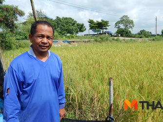 จากแปลงนาข้าว สู่ ‘เกษตรพอเพียง’ สร้างรายได้วันละ 1,000