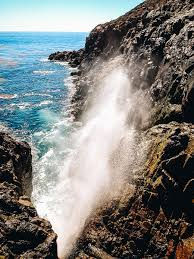 An Attitude of Gratitude