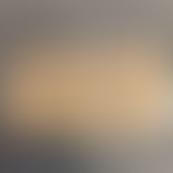 Version 22 Liebert Thing #4 Proof