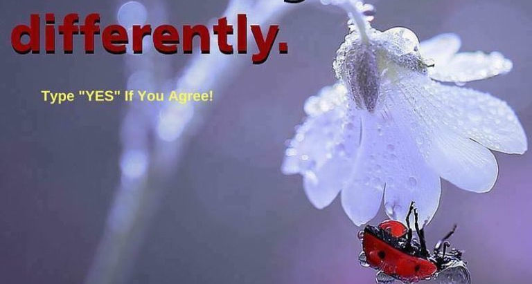 Liebert #7 Proof Most Comprehensive Proof with Ladybug