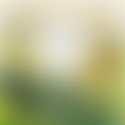 The Organic Infinite Positive Feedback Circuit Loop, Version 15