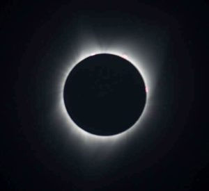 The Organic Infinite Positive Feedback Circuit Loop, Version 37