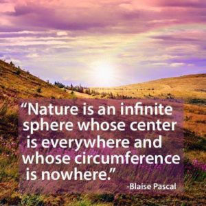 The Organic Infinite Positive Feedback Circuit Loop, Version 22