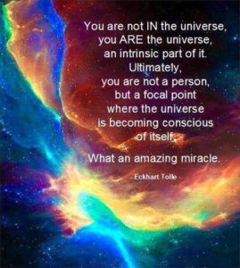 The Organic Infinite Positive Feedback Circuit Loop, Version 30