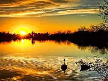 Version 12 Liebert Tiny #2 Proof