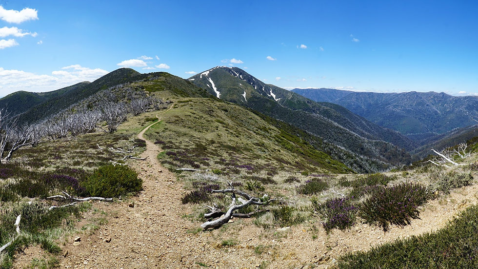 4peaks website landscape image.jpeg