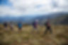 3-of-4-Peaks-1186.jpg