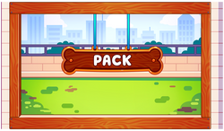 dg_rooms_package_frame