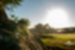 DSC00196