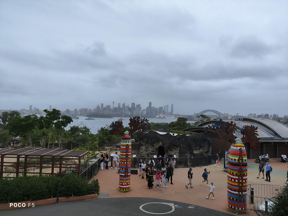 Taronga Zoo – Kebun Binatang Ikonik dengan Pemandangan Terbaik Sydney