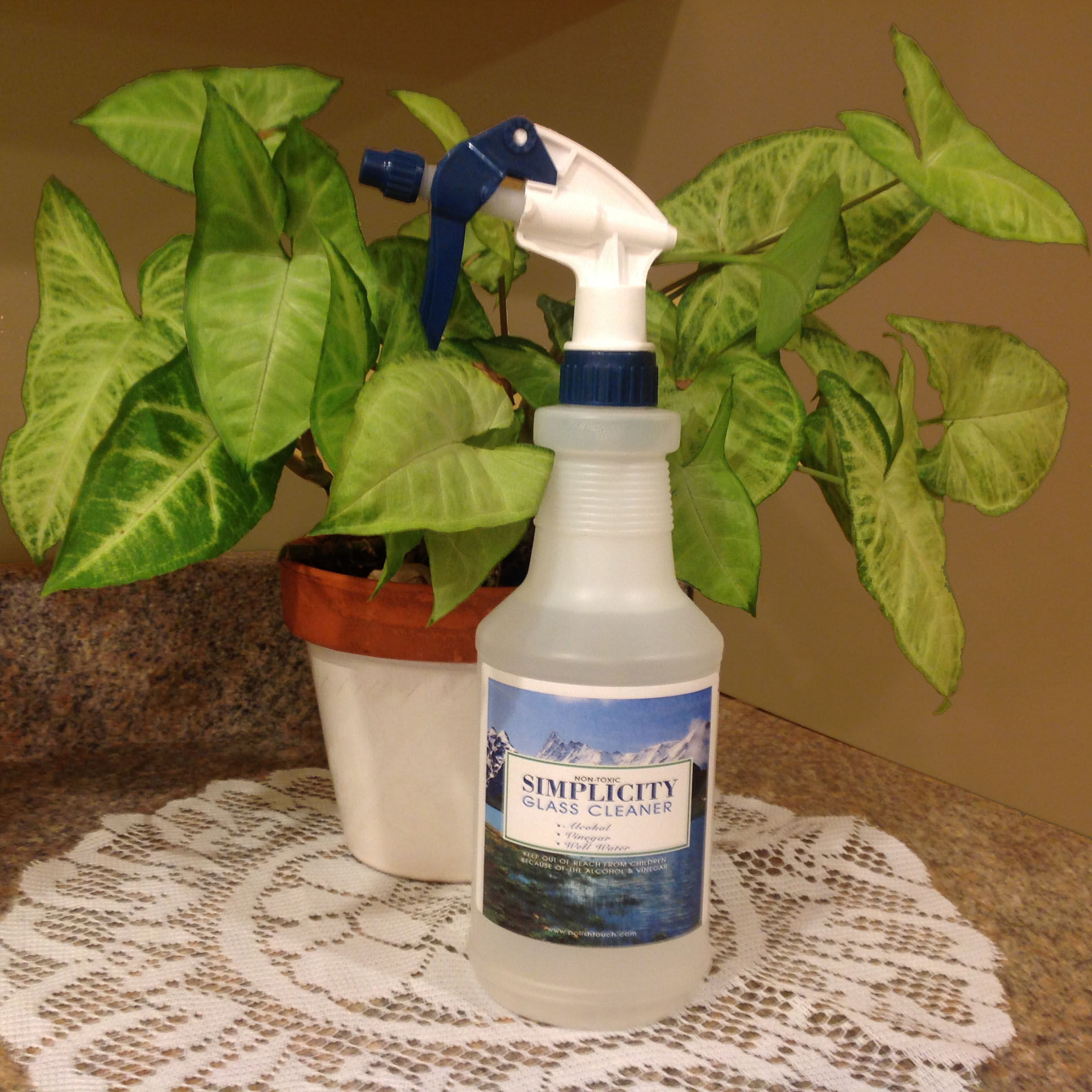 Simplicity Glass Cleaner