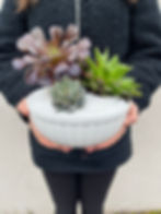 Succulent Circle Planter