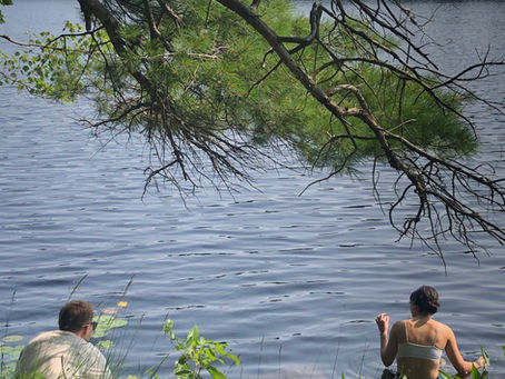 Nature Therapy: The Deeper Invitation