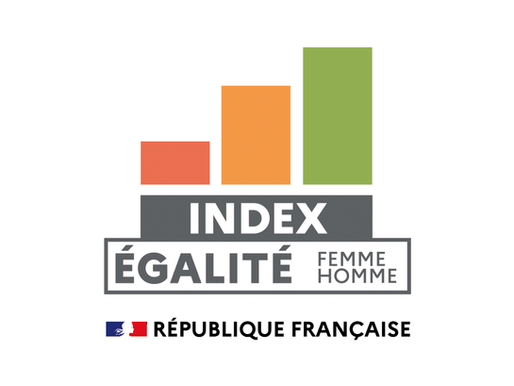 Index égalité professionnelle femmes-hommes 2025
